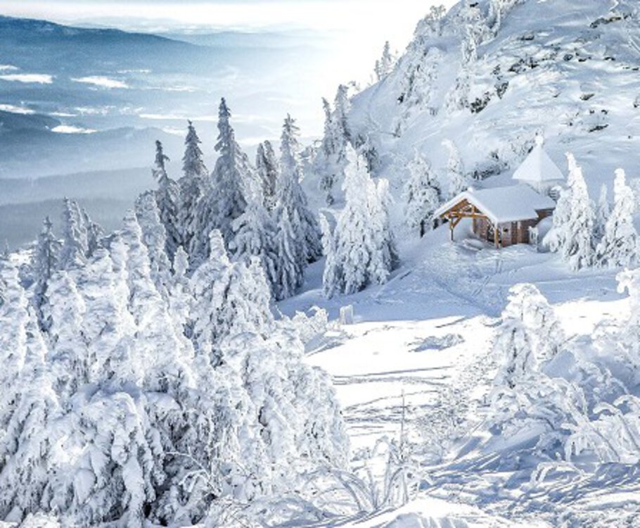 Bayerischer Wald Weihnachten u. Silvester Bayerischer Wald Weihnachten u. Silvester