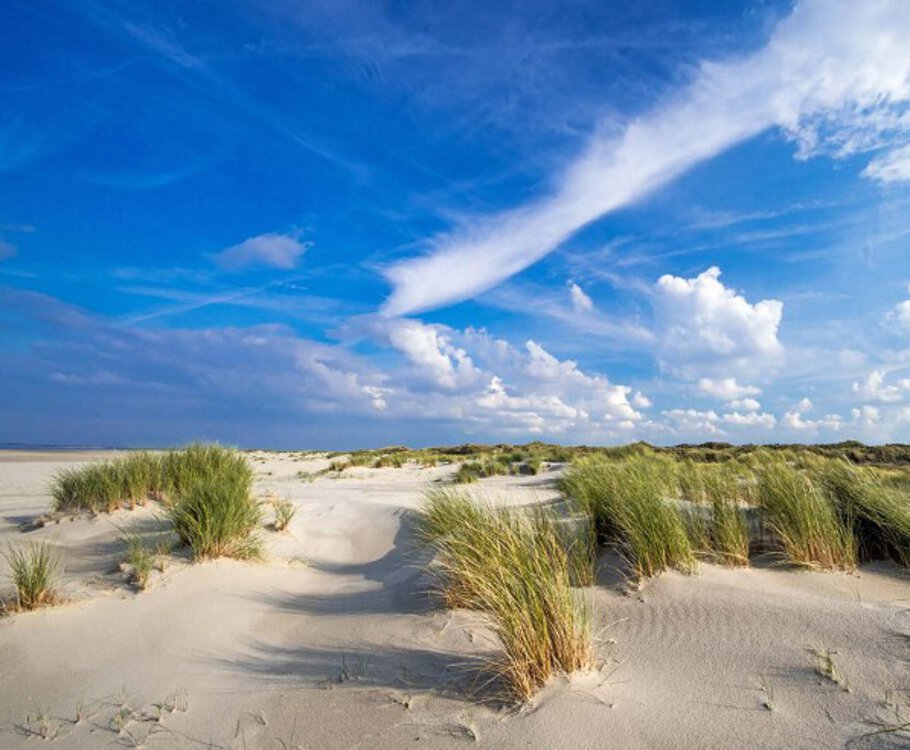 Ostfriesland Moin, Moin und Willkommen an der Nordseeküste Ostfriesland Moin, Moin und Willkommen an der Nordseeküste